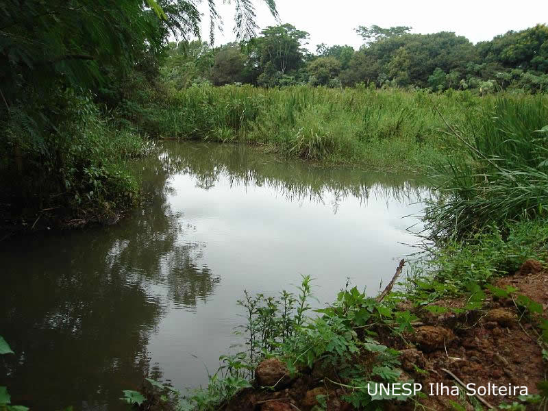 unesp_pos_2009 (62).JPG